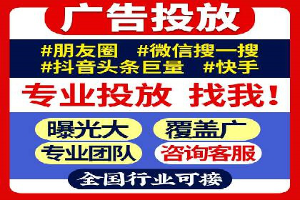行业领先企业的SEM代理案例剖析
